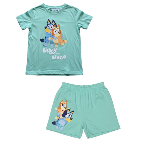 New Bluey & Bingo Kids 4pc Pyjama Set - Age 5 - Green & Pink PJs Outfit