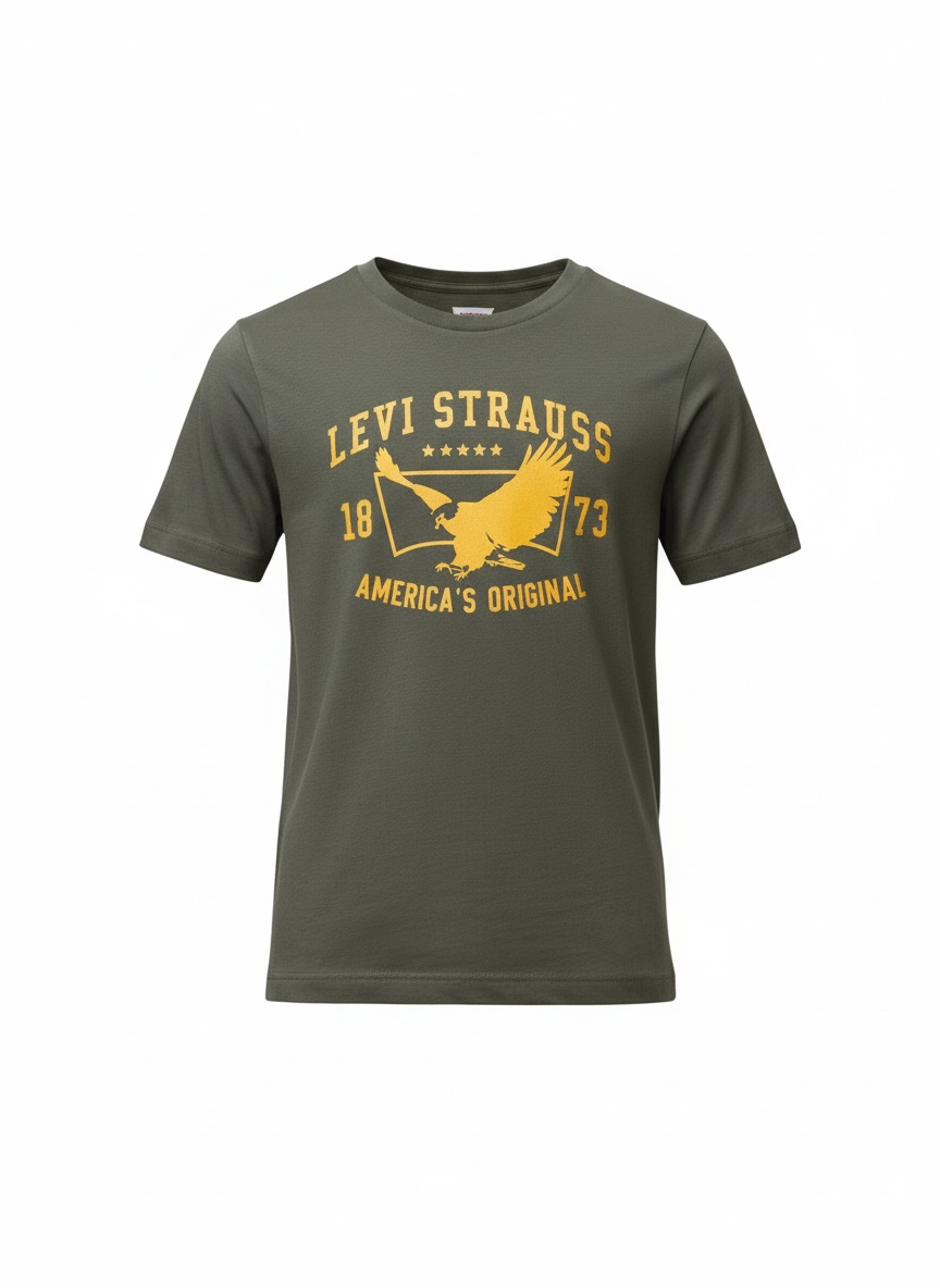 Levi’s Boys 2-Pack Short Sleeve T-Shirts – Size S (6/7) Relaxed Fit