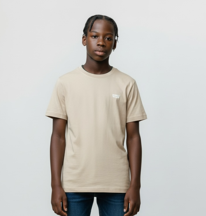 Levi’s Boys 2-Pack Short Sleeve T-Shirts – Size S (6/7) Relaxed Fit